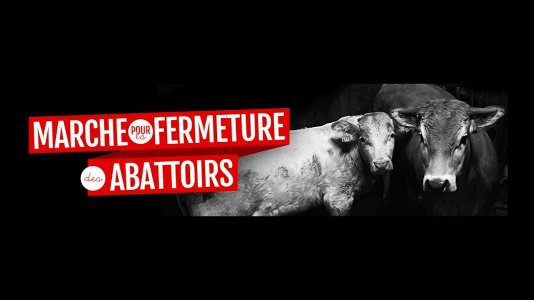 Marche pour la fermeture des abattoirs