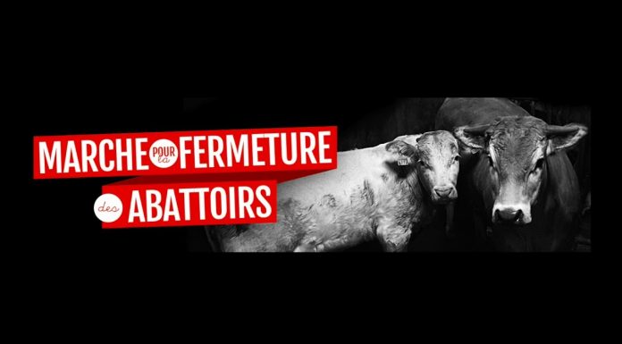 Marche pour la fermeture des abattoirs